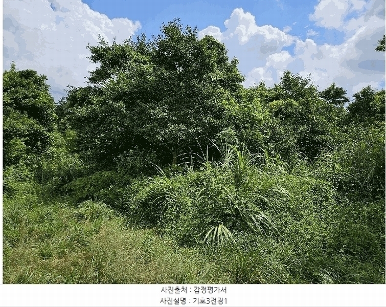 2025타경1696 제주특별자치도 서귀포시 안덕면 상창리 1299 임야 경매 이미지
