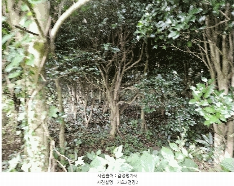 2025타경1696 제주특별자치도 서귀포시 안덕면 상창리 1299 임야 경매 이미지
