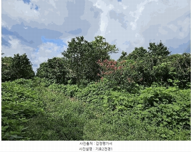2025타경1696 제주특별자치도 서귀포시 안덕면 상창리 1299 임야 경매 이미지