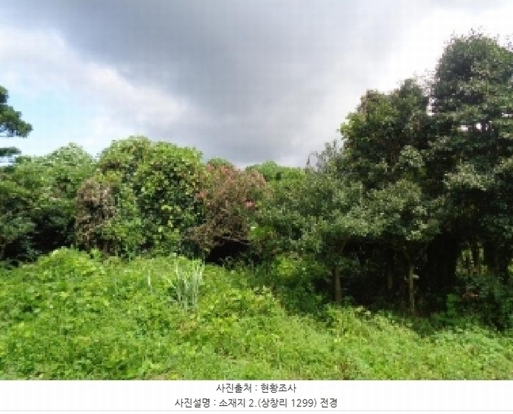 2025타경1696 제주특별자치도 서귀포시 안덕면 상창리 1299 임야 경매 이미지