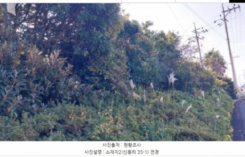 2025타경8263 제주특별자치도 서귀포시 남원읍 신흥리 100-1 농지 경매 이미지