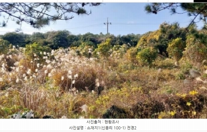 2025타경8263 제주특별자치도 서귀포시 남원읍 신흥리 100-1 농지 경매 이미지