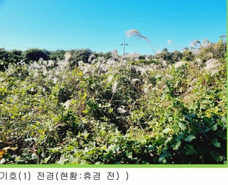 2025타경8263 제주특별자치도 서귀포시 남원읍 신흥리 100-1 농지 경매 이미지
