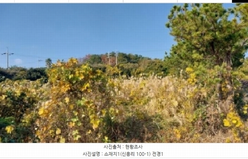 2025타경8263 제주특별자치도 서귀포시 남원읍 신흥리 100-1 농지 경매 이미지
