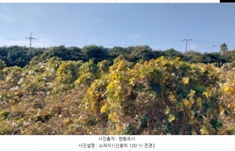 2025타경8263 제주특별자치도 서귀포시 남원읍 신흥리 100-1 농지 경매 이미지
