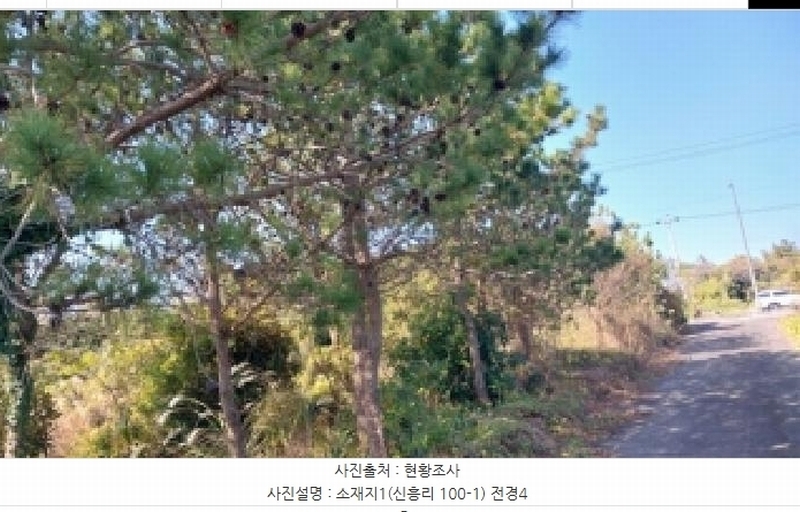 2025타경8263 제주특별자치도 서귀포시 남원읍 신흥리 100-1 농지 경매 이미지