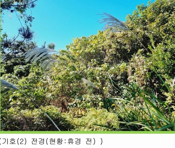 2025타경8263 제주특별자치도 서귀포시 남원읍 신흥리 100-1 농지 경매 이미지