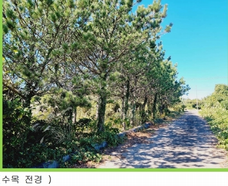 2025타경8263 제주특별자치도 서귀포시 남원읍 신흥리 100-1 농지 경매 이미지