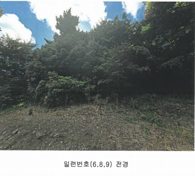 2025타경8650 제주특별자치도 서귀포시 상예동 1683 농지 경매 이미지