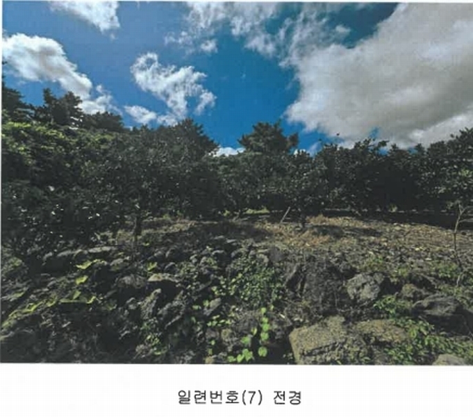 2025타경8650 제주특별자치도 서귀포시 상예동 1683 농지 경매 이미지
