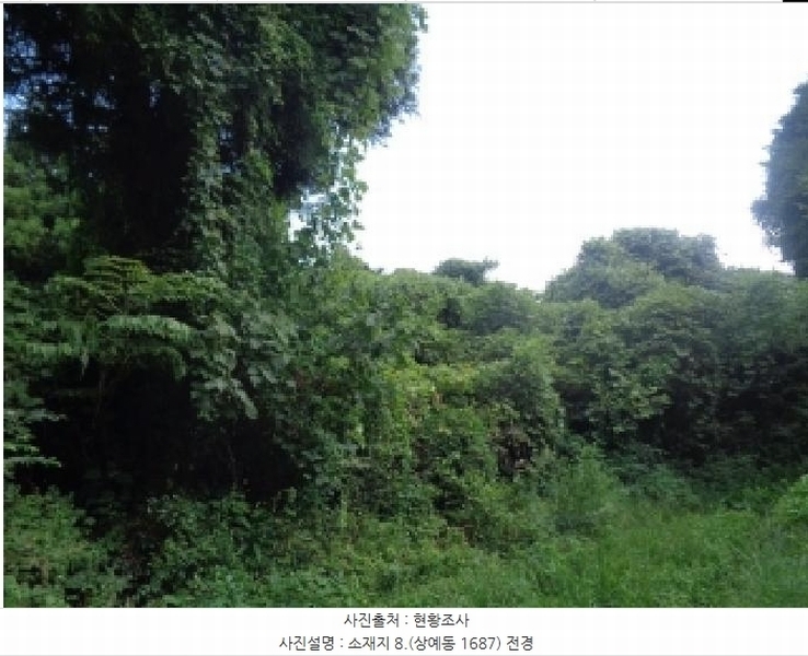 2025타경8650 제주특별자치도 서귀포시 상예동 1683 농지 경매 이미지
