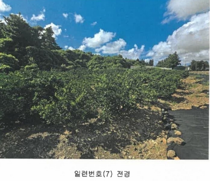 2025타경8650 제주특별자치도 서귀포시 상예동 1683 농지 경매 이미지