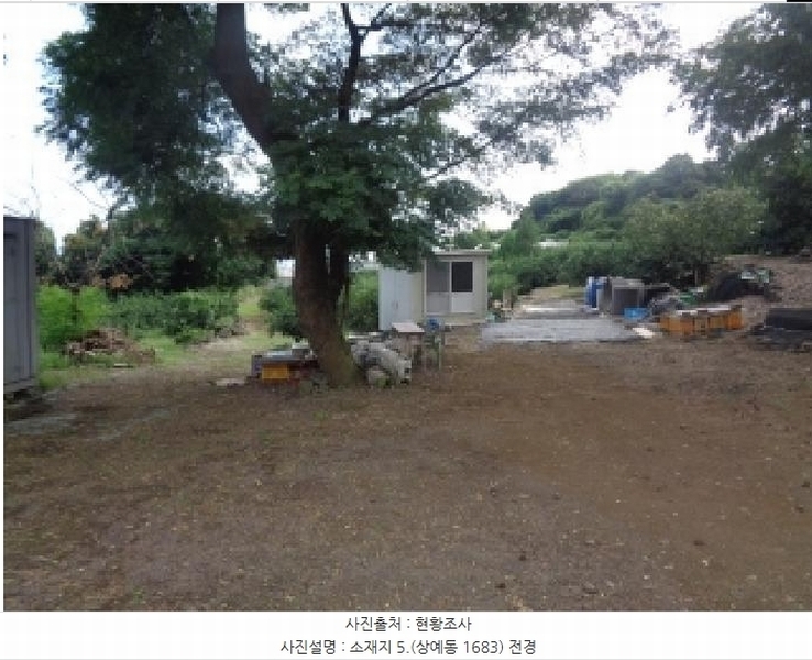 2025타경8650 제주특별자치도 서귀포시 상예동 1683 농지 경매 이미지
