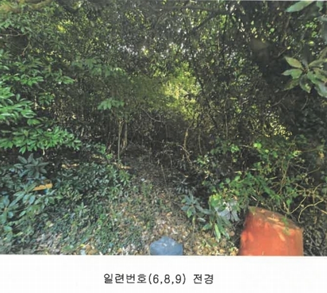 2025타경8650 제주특별자치도 서귀포시 상예동 1683 농지 경매 이미지
