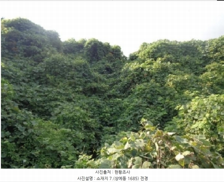 2025타경8650 제주특별자치도 서귀포시 상예동 1683 농지 경매 이미지