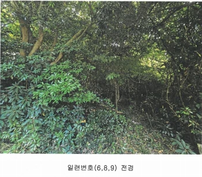 2025타경8650 제주특별자치도 서귀포시 상예동 1683 농지 경매 이미지