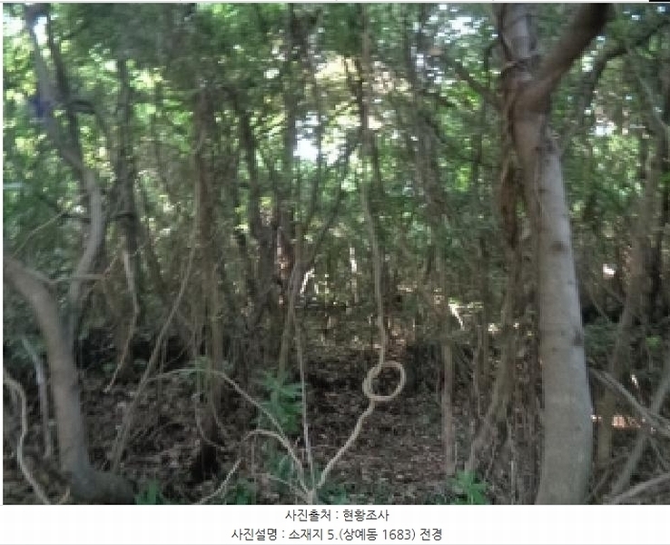 2025타경8650 제주특별자치도 서귀포시 상예동 1683 농지 경매 이미지