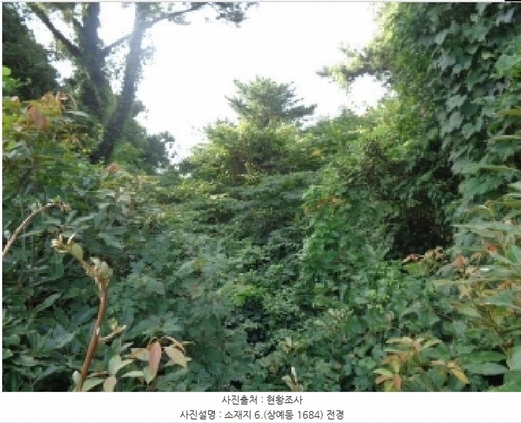 2025타경8650 제주특별자치도 서귀포시 상예동 1683 농지 경매 이미지
