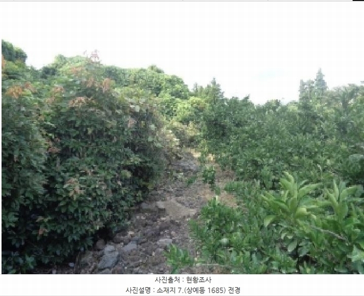 2025타경8650 제주특별자치도 서귀포시 상예동 1683 농지 경매 이미지