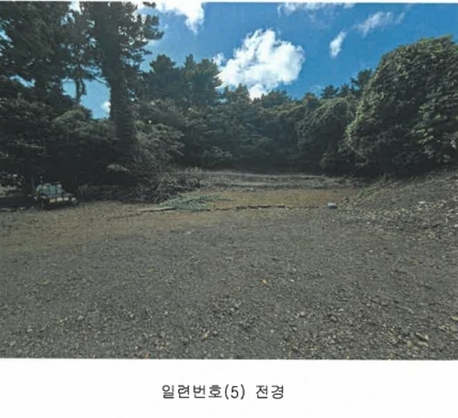 2025타경8650 제주특별자치도 서귀포시 상예동 1683 농지 경매 이미지