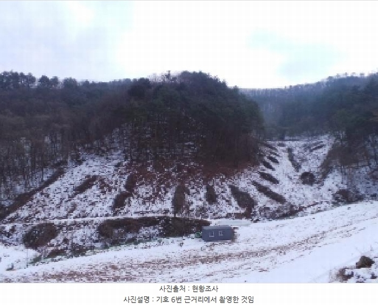 2025타경30128 강원특별자치도 정선군 화암면 백전리 산376 임야 경매 이미지