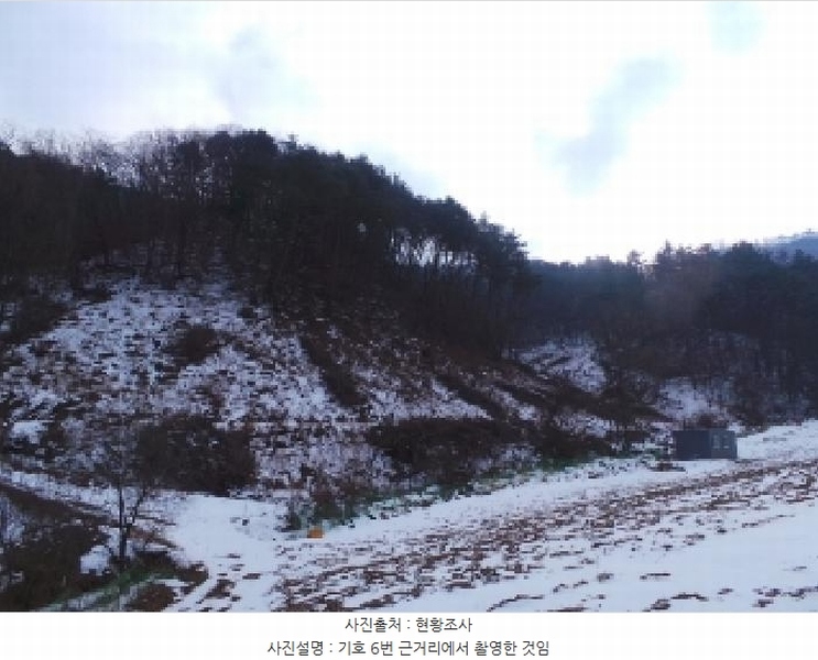 2025타경30128 강원특별자치도 정선군 화암면 백전리 산376 임야 경매 이미지