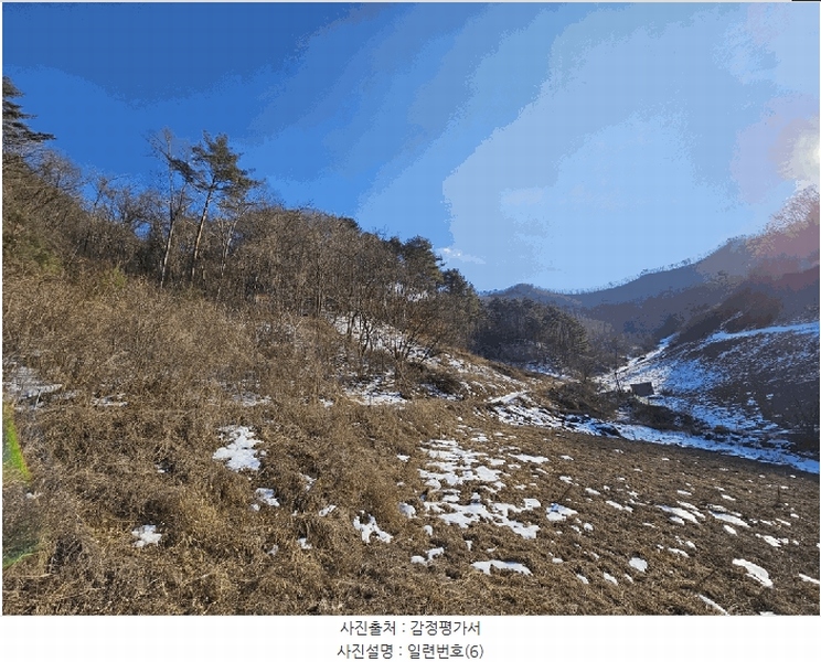 2025타경30128 강원특별자치도 정선군 화암면 백전리 산376 임야 경매 이미지