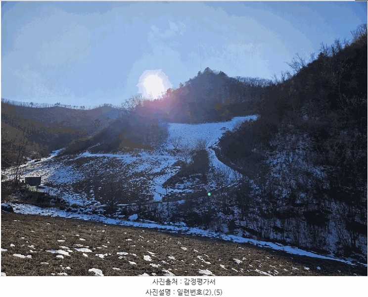 2025타경30128 강원특별자치도 정선군 화암면 백전리 산368 임야 경매 이미지
