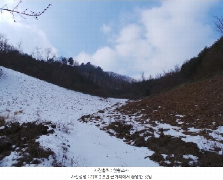 2025타경30128 강원특별자치도 정선군 화암면 백전리 산368 임야 경매 이미지
