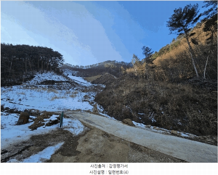 2025타경30128 강원특별자치도 정선군 화암면 백전리 산359 임야 경매 이미지