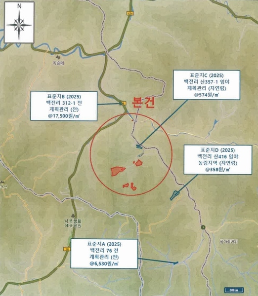 2025타경30128 강원특별자치도 정선군 화암면 백전리 산359 임야 경매 이미지
