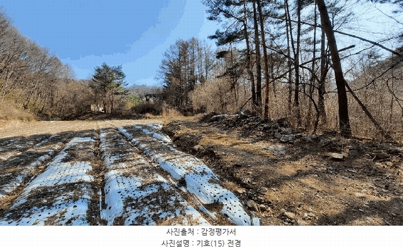 2025타경30413 강원특별자치도 평창군 봉평면 면온리 530 농지 경매 이미지