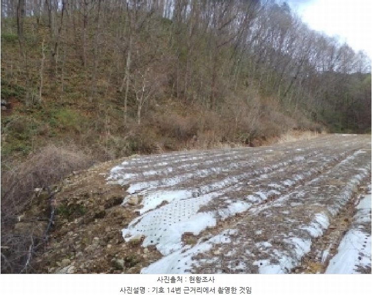 2025타경30413 강원특별자치도 평창군 봉평면 면온리 529 농지 경매 이미지