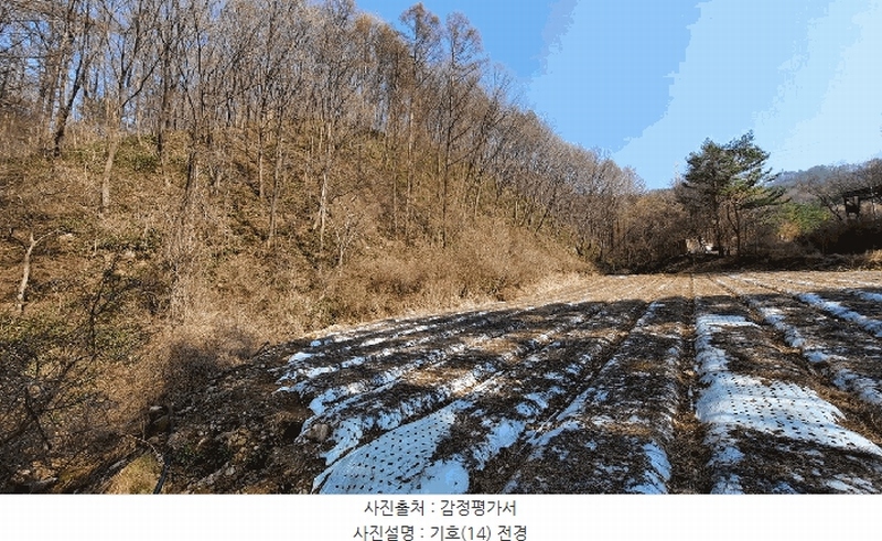 2025타경30413 강원특별자치도 평창군 봉평면 면온리 529 농지 경매 이미지