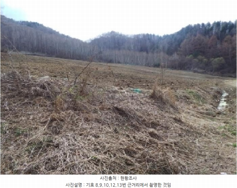 2025타경30413 강원특별자치도 평창군 봉평면 면온리 333-2 농지 경매 이미지