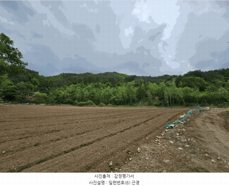 2025타경30437 강원특별자치도 평창군 진부면 척천리 197 농지 경매 이미지