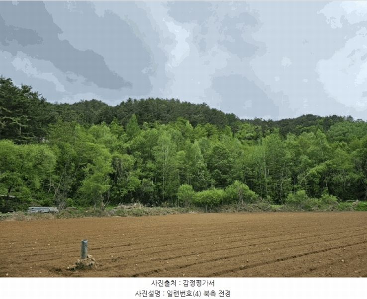 2025타경30437 강원특별자치도 평창군 진부면 척천리 197 농지 경매 이미지