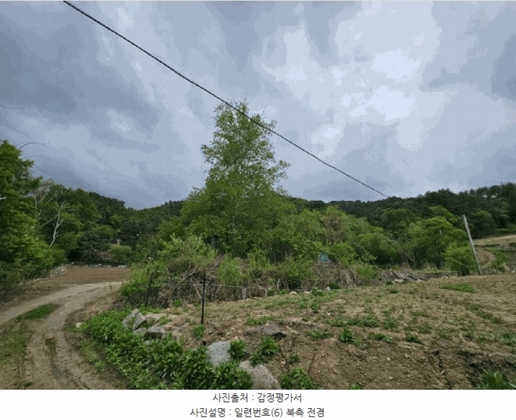 2025타경30437 강원특별자치도 평창군 진부면 척천리 197 농지 경매 이미지