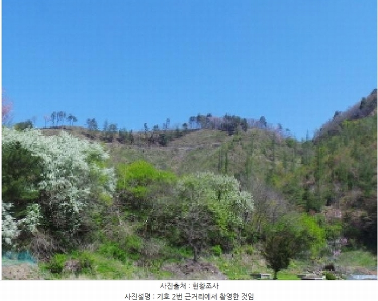 2025타경30440 강원특별자치도 정선군 화암면 화암리 산468 임야 경매 이미지