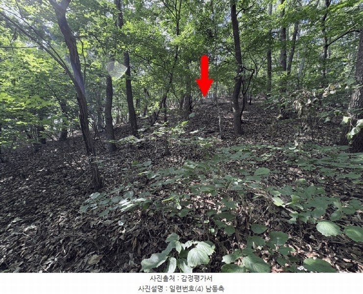 2025타경1242 경기도 용인시 처인구 양지면 송문리 산33-103 임야 경매 이미지