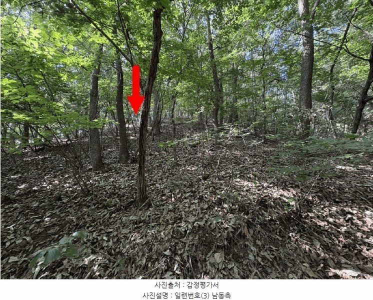 2025타경1242 경기도 용인시 처인구 양지면 송문리 산33-98 임야 경매 이미지