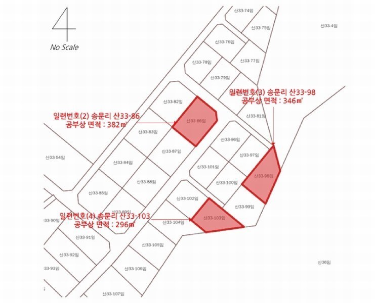 2025타경1242 경기도 용인시 처인구 양지면 송문리 산33-98 임야 경매 이미지