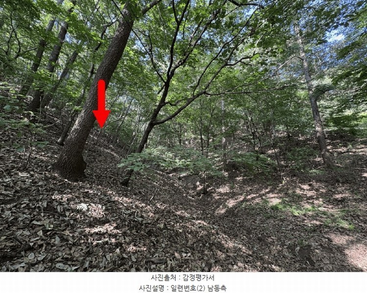 2025타경1242 경기도 용인시 처인구 양지면 송문리 산33-86 임야 경매 이미지