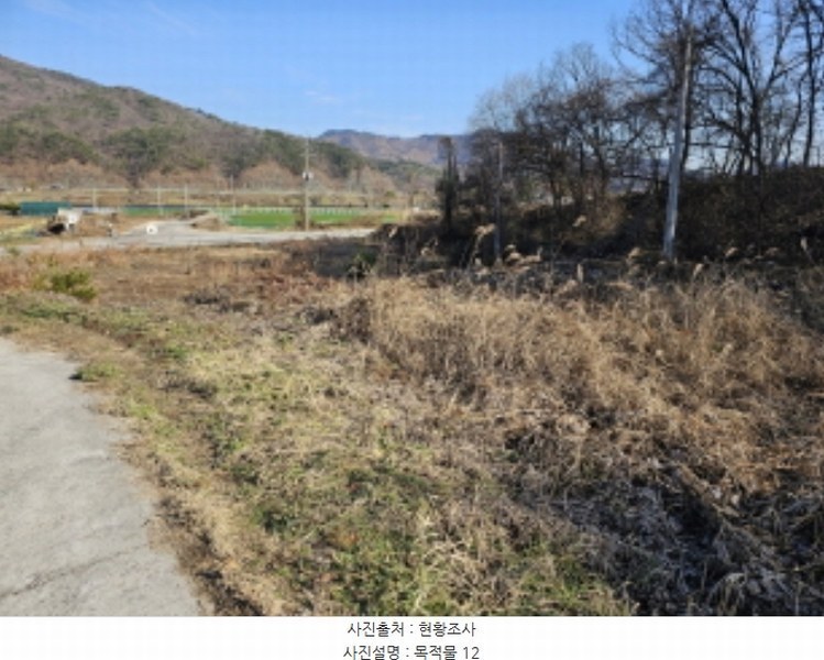 2024타경35704 충청북도 충주시 앙성면 조천리 234-8 과수원 경매 이미지