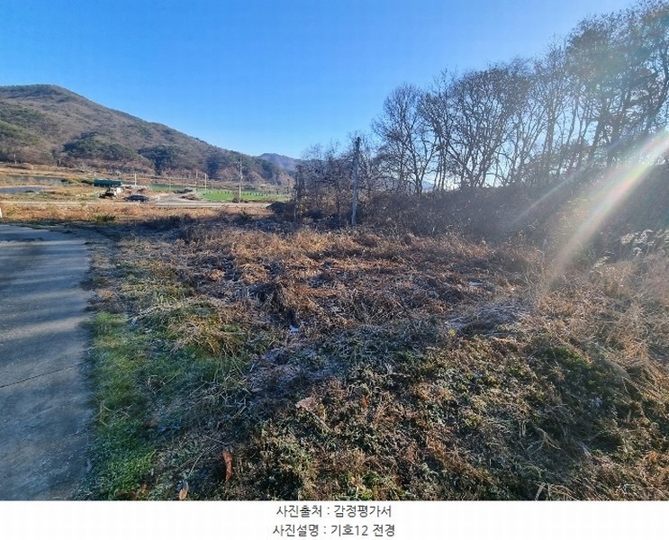 2024타경35704 충청북도 충주시 앙성면 조천리 234-8 과수원 경매 이미지