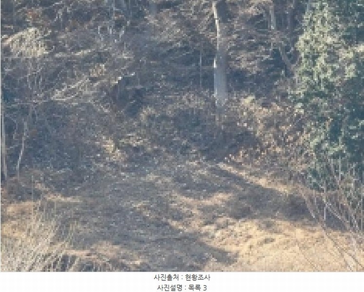 2024타경32756 경상남도 통영시 도산면 오륜리 308 농지 경매 이미지