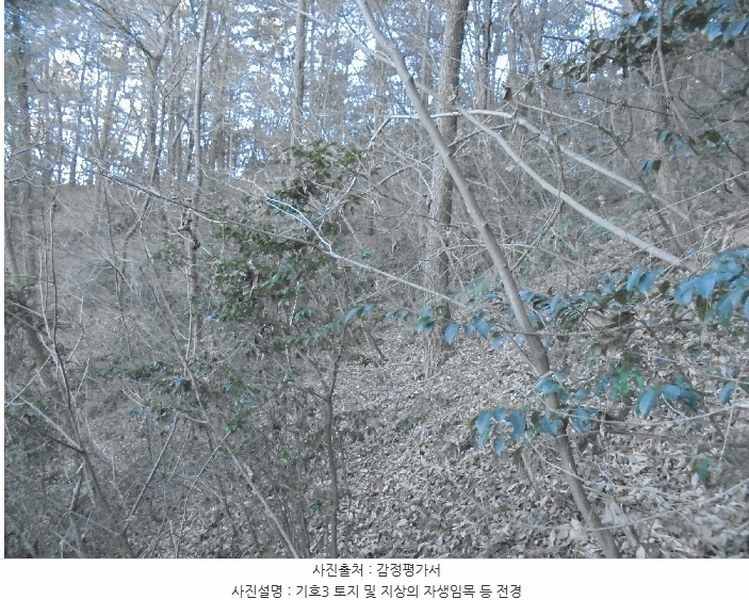 2024타경32756 경상남도 통영시 도산면 오륜리 308 농지 경매 이미지