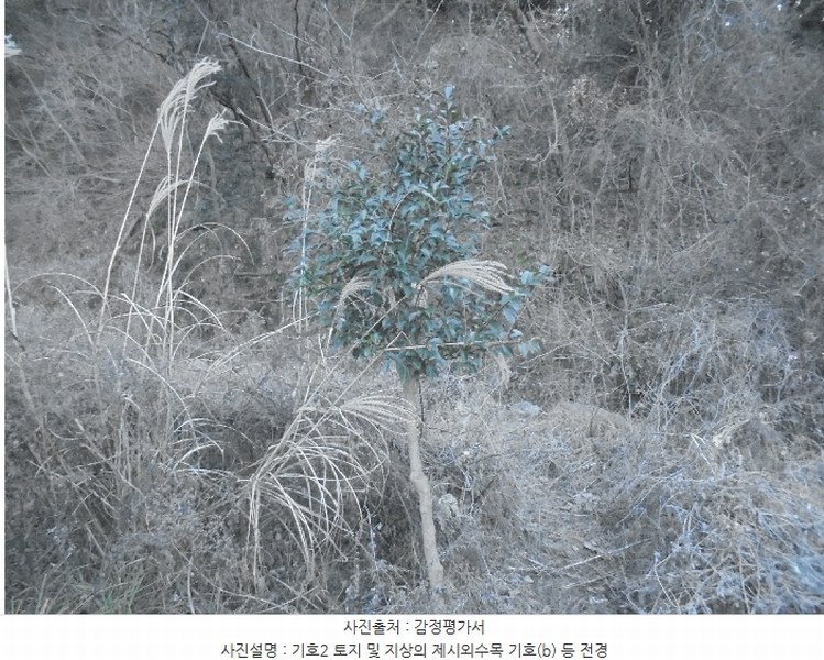 2024타경32756 경상남도 통영시 도산면 오륜리 180 농지 경매 이미지