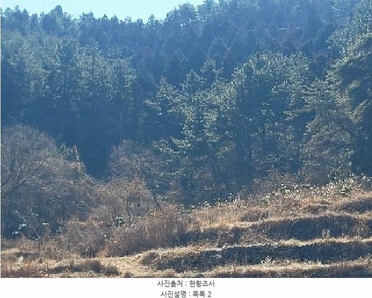 2024타경32756 경상남도 통영시 도산면 오륜리 180 농지 경매 이미지