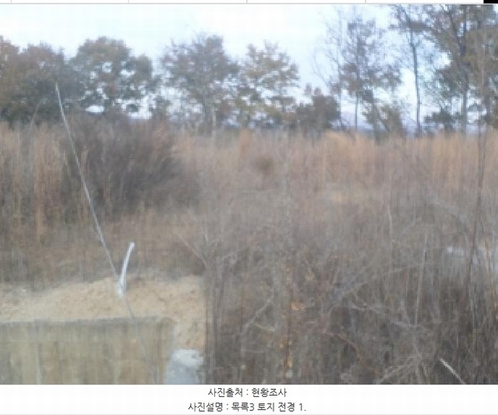 2025타경31917 전북특별자치도 전주시 덕진구 금상동 1111-5 대지 경매 이미지